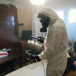 Дезинфекция от клопов в Бабаево
